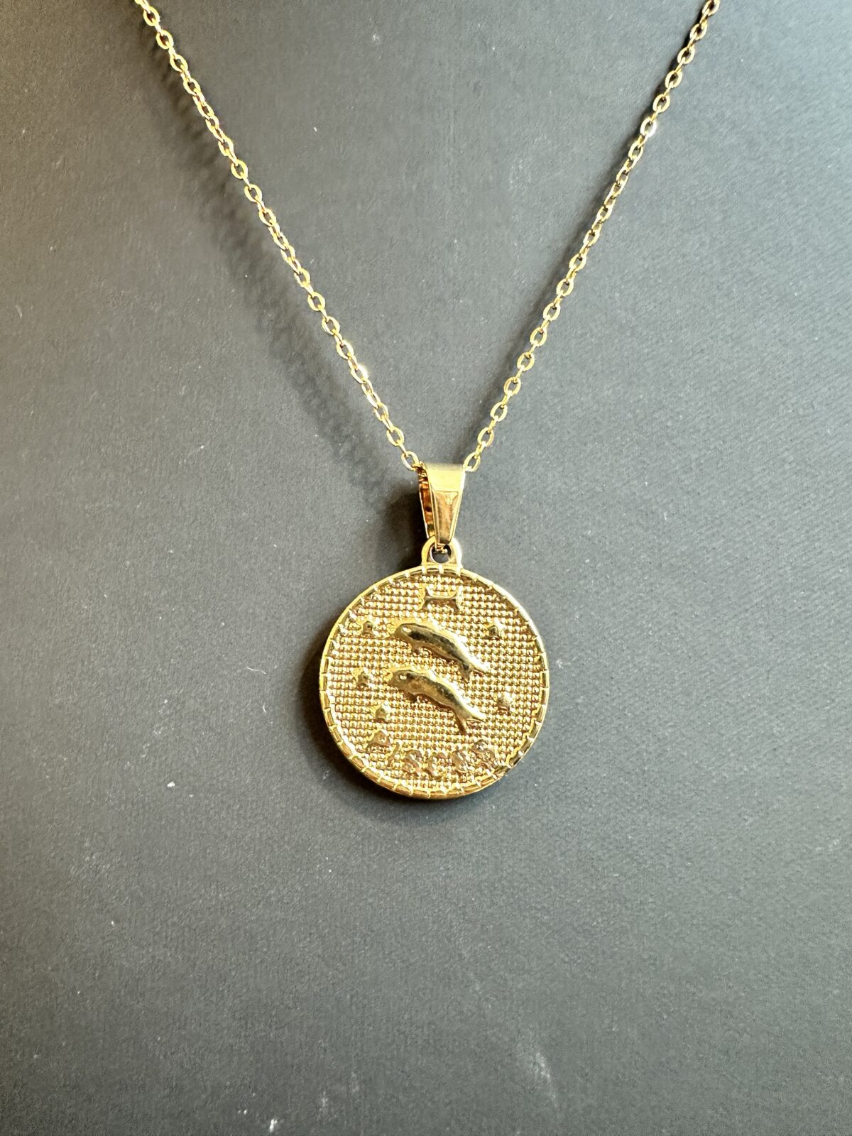 2theMoon’nBack Necklace *Pisces* - Afbeelding 1