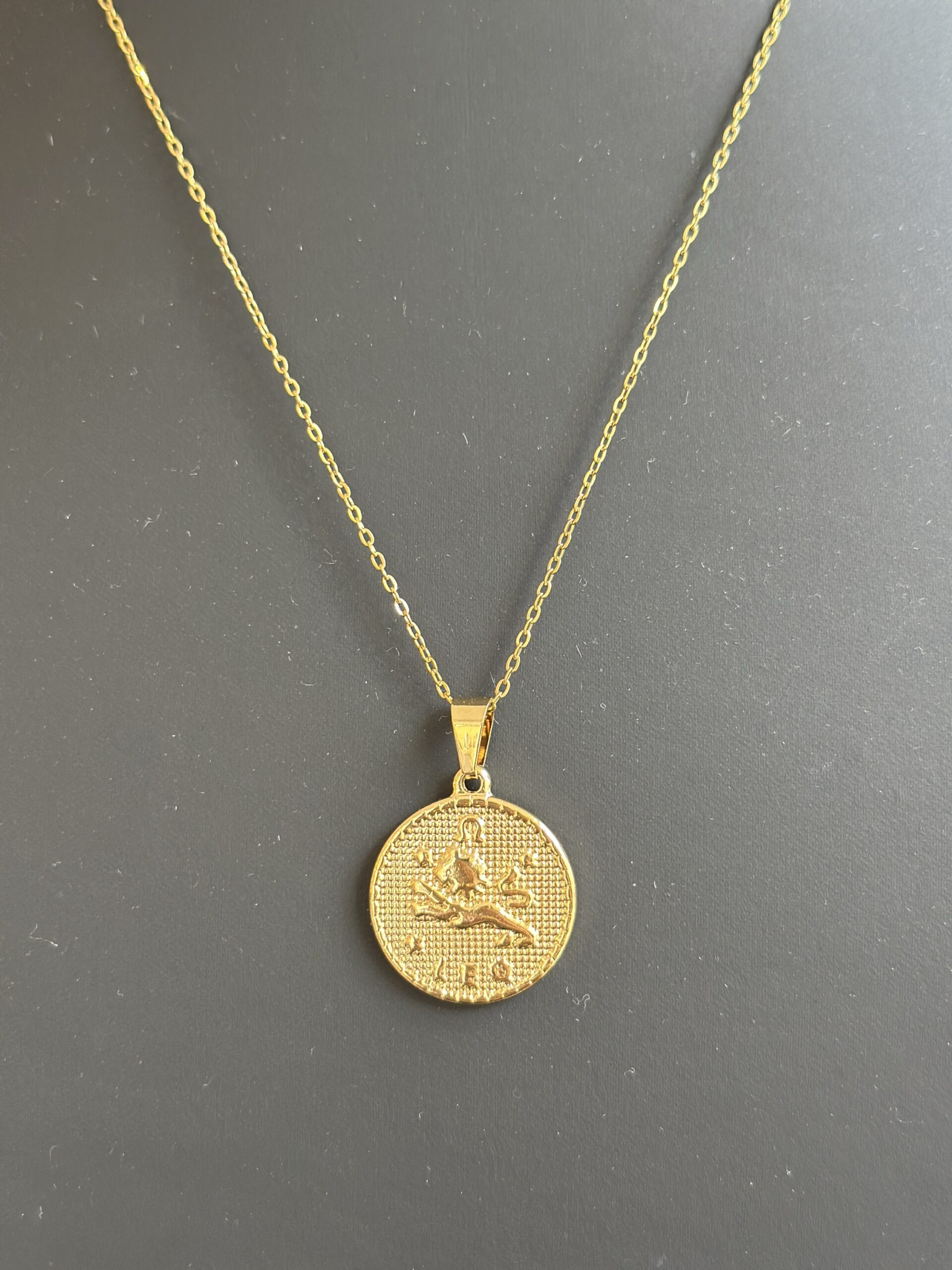 img_6695 2theMoon’nBack Necklace *Leo/Leeuw* - Afbeelding 1