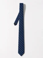 Sir Tie - Blue Stripe - Afbeelding 3