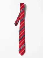 Sir Tie - Red Blue - Afbeelding 2